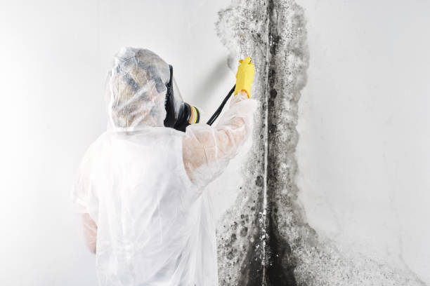 Best Commercial water damage restoration  in Grand Island, NE